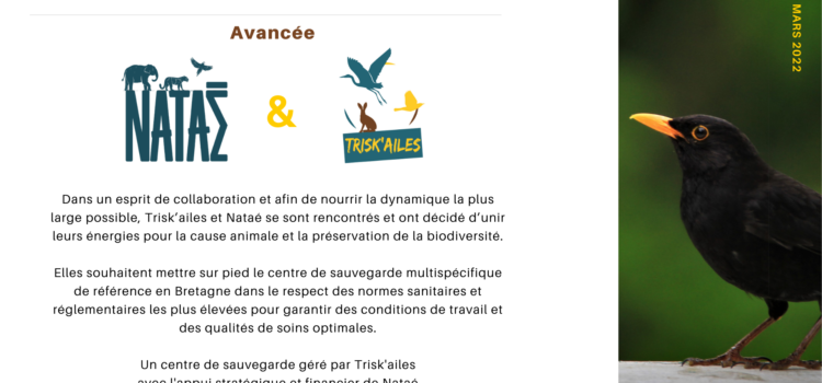 Trisk’ailes et Nataé, un partenariat pour les animaux bretons