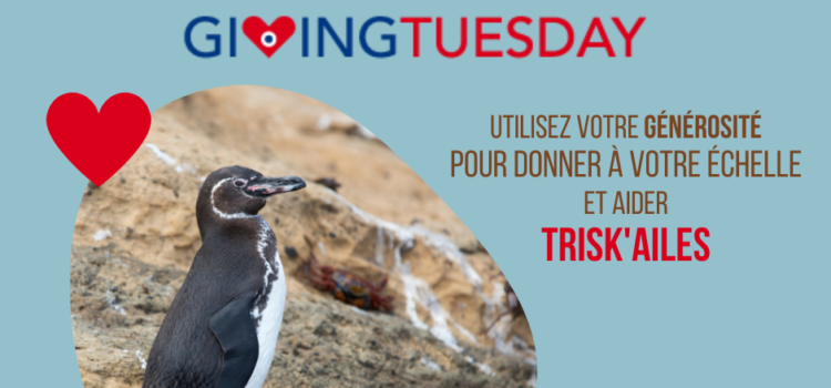 Giving Tuesday : utilisez votre générosité pour soutenir la cause animale défendue par Trisk'ailes