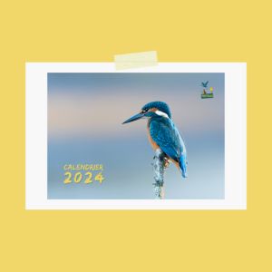 Calendrier animalier 2024 Trisk'ailes
