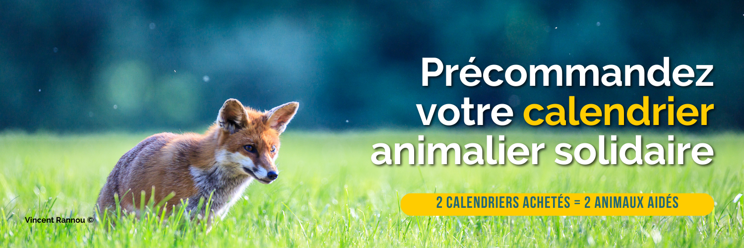 Précommandes calendrier animalier 2025 de Trisk'ailes