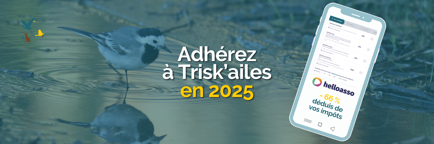 Adhérer à trisk'ailes en 2025