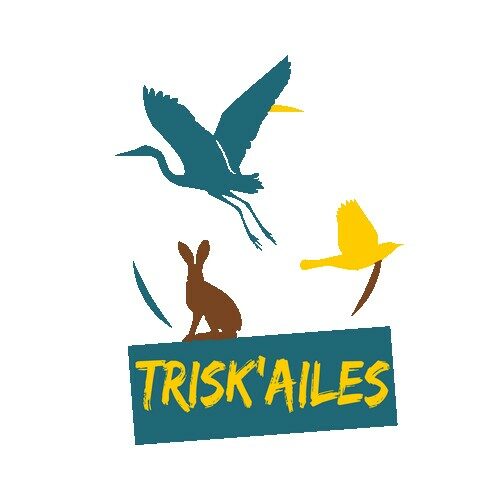 Logo Trisk'ailes fond-blanc