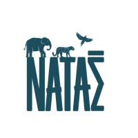Logo de Nataé